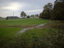 Jim's Woods - 40 acres