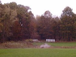 Jim's Woods - gate entrance