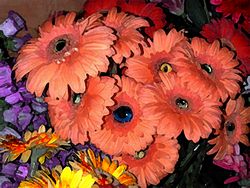 Photoshop exercise - Flower Eyes